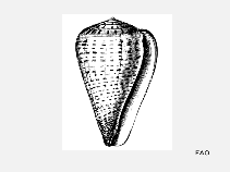 Cobet_u1.gif