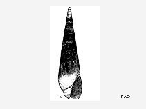 Hahec_u1.gif