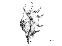 Lalam_u1.gif