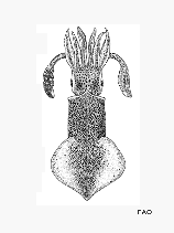 Lonoc_u0.gif