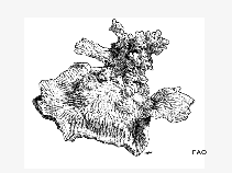 Meamp_u3.gif