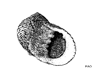 Neund_u1.gif