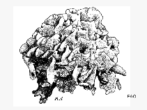 Padec_u1.gif