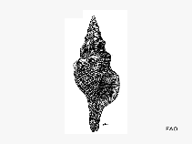 Plfil_u1.gif