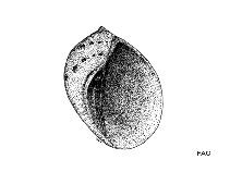 Poseb_u1.gif