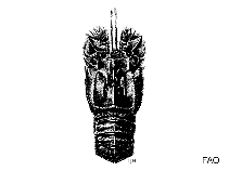 Scbat_u1.gif
