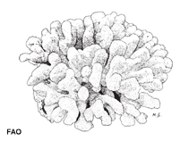 Stpis_u0.gif