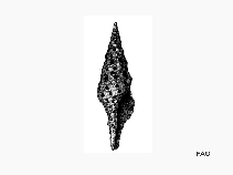 Tubab_u1.gif