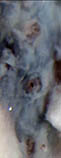 Ptdof_u3.jpg